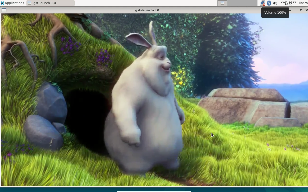 Debian Play video in Chromium Browser