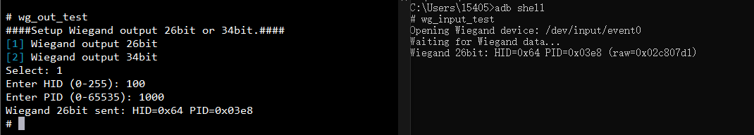 Wiegand_check_data